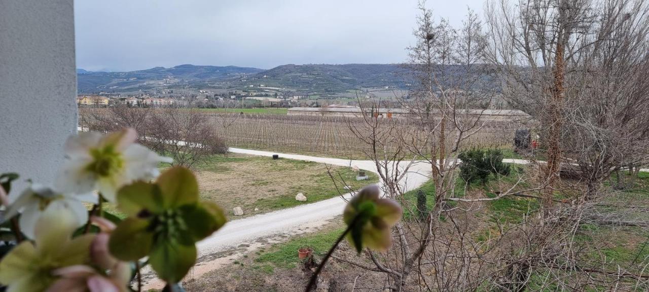 Agriturismo Alle Albare Montorio Veronese Eksteriør billede