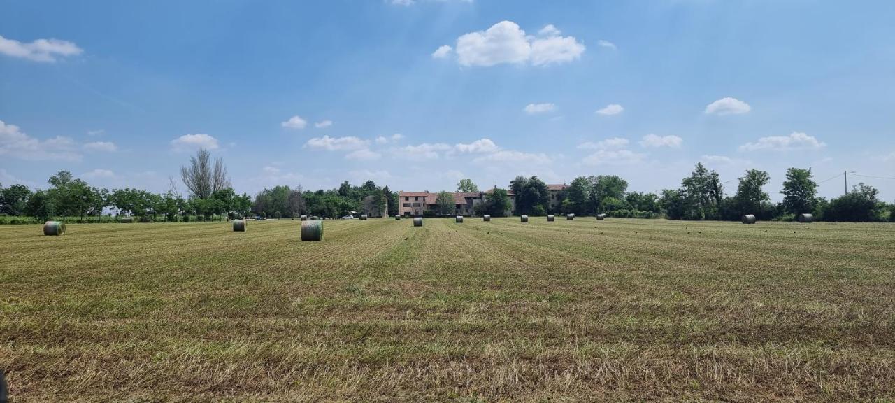 Agriturismo Alle Albare Montorio Veronese Eksteriør billede
